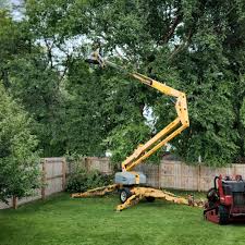 Best Commercial Tree Services  in Riverdale, CA